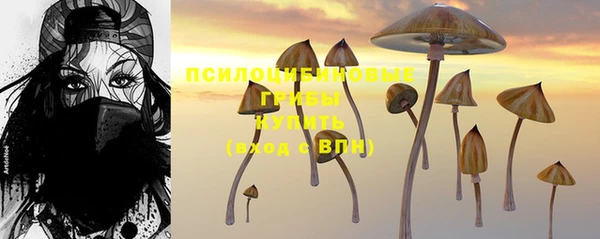 прущие грибы Зеленодольск