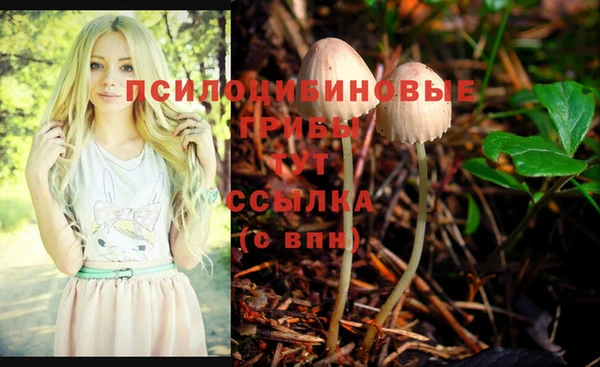стафф Чегем