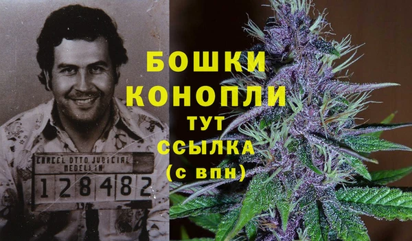 прущие грибы Зеленодольск
