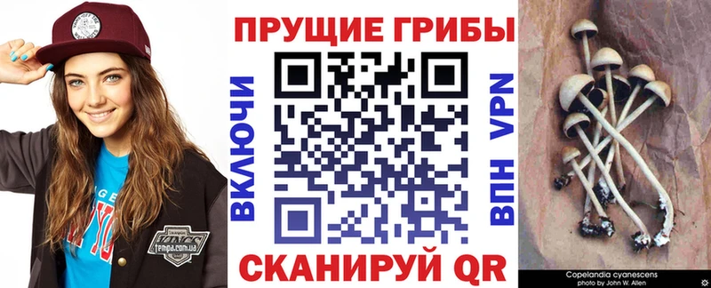Псилоцибиновые грибы Magic Shrooms  купить закладку  Вуктыл 